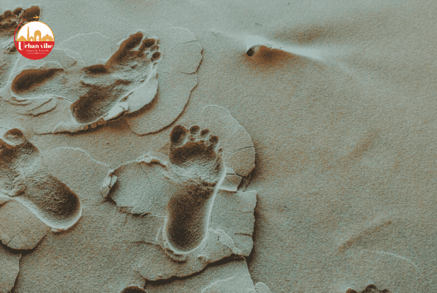 Gandhi Footprint Tour: Tracing the Steps of a Legend Tour